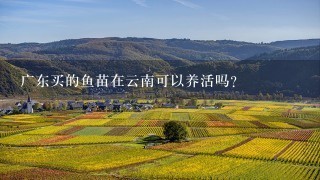 广东买的鱼苗在云南可以养活吗?