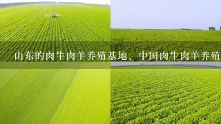 山东的肉牛肉羊养殖基地、中国肉牛肉羊养殖网介绍几家？（请推荐正规牛羊养殖基地）