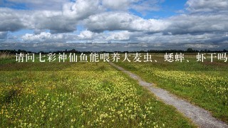 请问七彩神仙鱼能喂养大麦虫、蟋蟀、虾干吗？知道的或者有经验的请告诉我谢谢