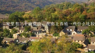 家里有三十亩荒山，在山上养殖一些什么比较好？