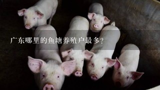 广东哪里的鱼塘养殖户最多？