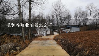 毛驴养殖业前景怎么样