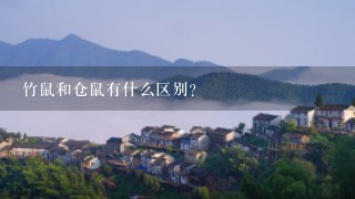 竹鼠和仓鼠有什么区别？