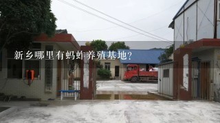 新乡哪里有蚂蚱养殖基地？