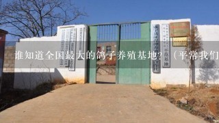 谁知道全国最大的鸽子养殖基地？（平常我们市场买的