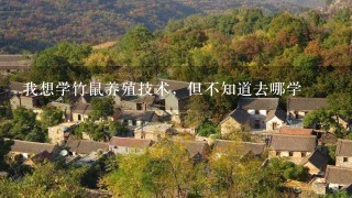 我想学竹鼠养殖技术，但不知道去哪学