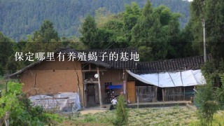 保定哪里有养殖蝎子的基地