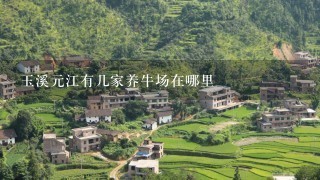 玉溪元江有几家养牛场在哪里