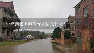 中蜂换老王的最好方法是什么？