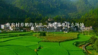 在农村养鹅的方法，养鹅需要什么场地