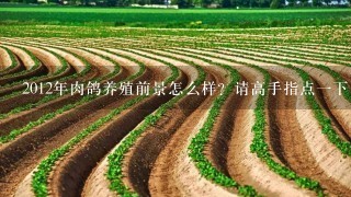 2012年肉鸽养殖前景怎么样？请高手指点一下