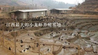 江西最大的小龙虾养殖基地