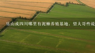 乐山或四川哪里有泥鳅养殖基地，望大哥些说几个，地址或联系方式。谢谢