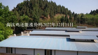 淘汰鸡还能涨价吗2022年12月11日