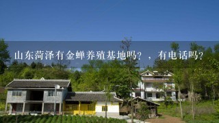 山东菏泽有金蝉养殖基地吗？，有电话吗？