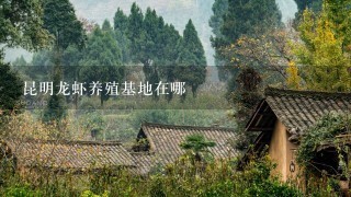 昆明龙虾养殖基地在哪