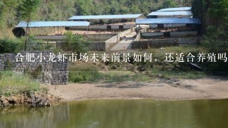 合肥小龙虾市场未来前景如何，还适合养殖吗？ 场地，水塘如何解决。