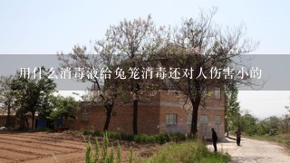 用什么消毒液给兔笼消毒还对人伤害小的