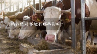 肉鸭养殖对环境有哪些影响？