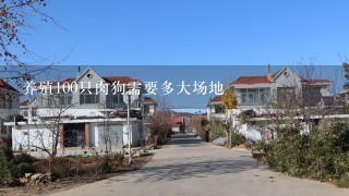 养殖100只肉狗需要多大场地