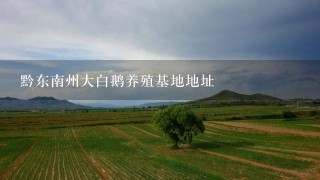 黔东南州大白鹅养殖基地地址