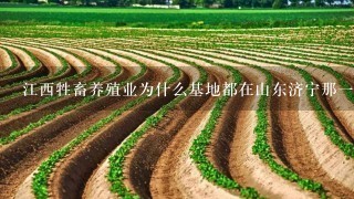 江西牲畜养殖业为什么基地都在山东济宁那一块?江西就没有养牛基地了吗?求解?