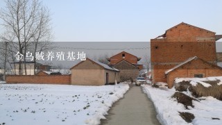 金乌贼养殖基地