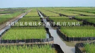 高效竹鼠养殖技术宝典(手机)官方网站