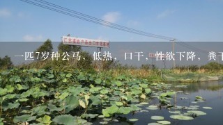 一匹7岁种公马，低热，口干，性欲下降，粪干尿少，舌红苔少，脉细数治疗该病可选用的方剂是（）