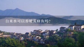 自来水可以养殖黄蜂鱼吗？