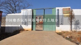 中国麝香鼠养殖基地在什么地方