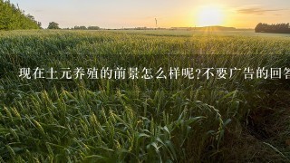 现在土元养殖的前景怎么样呢?不要广告的回答，非诚勿扰!