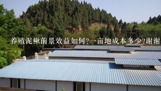 养殖泥鳅前景效益如何?一亩地成本多少?谢谢