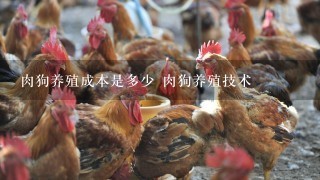 肉狗养殖成本是多少 肉狗养殖技术