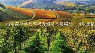 山东菏泽单县鹧鸪养殖是不是骗局，可以相信吗