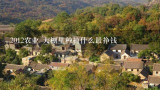 2012农业 大棚里种植什么最挣钱