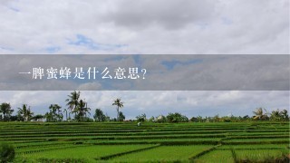 一脾蜜蜂是什么意思？