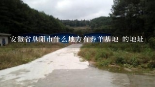 安徽省阜阳市什么地方有养羊基地 的地址