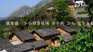 我要建一个小型养殖场 养牛的 20头 建牛舍要多少钱?