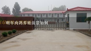 明年肉鸽养殖前景如何