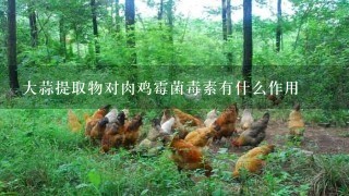 大蒜提取物对肉鸡霉菌毒素有什么作用