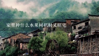 家里种什么水果树招财又旺宅