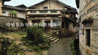 养殖草鱼有那些病要预防