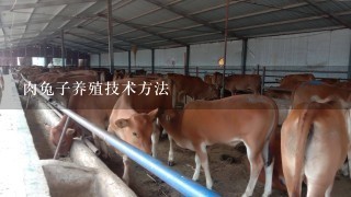 肉兔子养殖技术方法