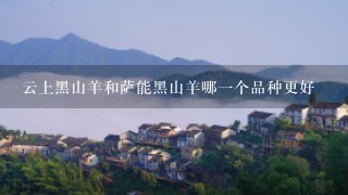 云上黑山羊和萨能黑山羊哪一个品种更好