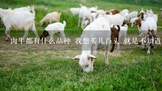 肉牛都有什么品种 我想买几百头 就是不知道什么品种好养 听说有很多品种 我们的邻居他让牛赚了将近100w