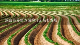 致富经养殖方面的什么最有发展