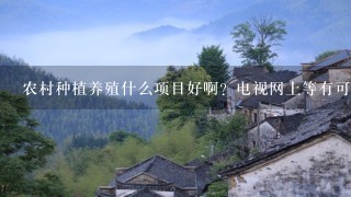 农村种植养殖什么项目好啊？电视网上等有可信的吗？