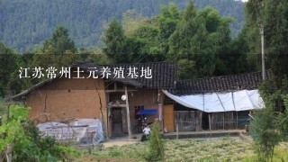 江苏常州土元养殖基地