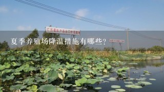 夏季养殖场降温措施有哪些？